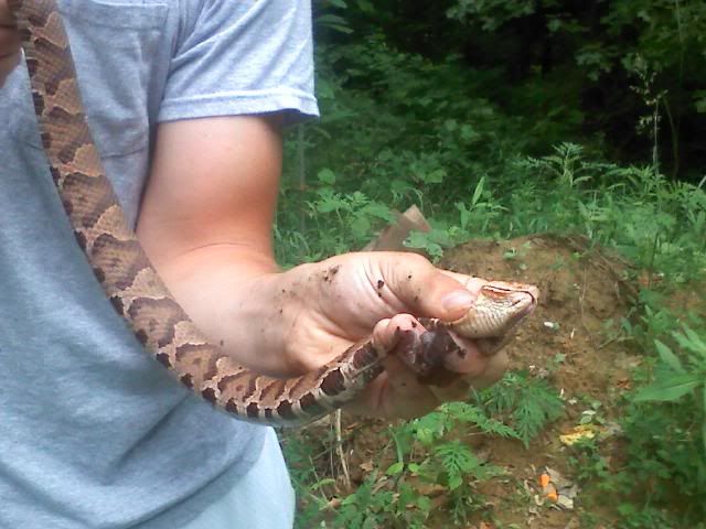 Snake hunting in SE Ohio 012