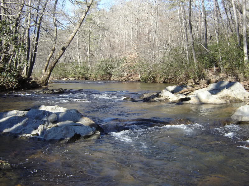 Reddies River DH 3/10/10 DSC00093