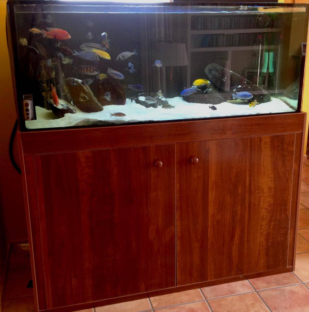 Se vende Acuario 540L + Mesa + Acuario 80L Foto1-11-14105228_zpsc4d189df