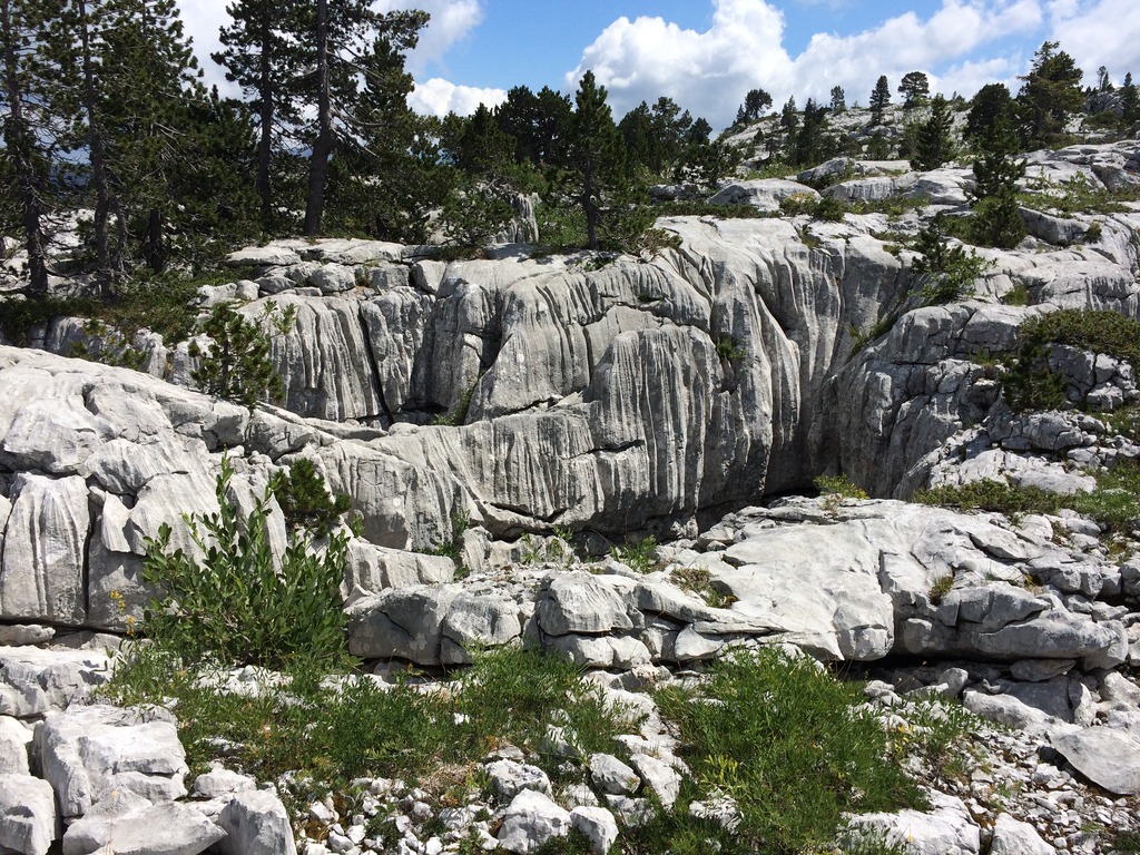 Au pays des Helvètes… IMG_0529_zpsaweymlee