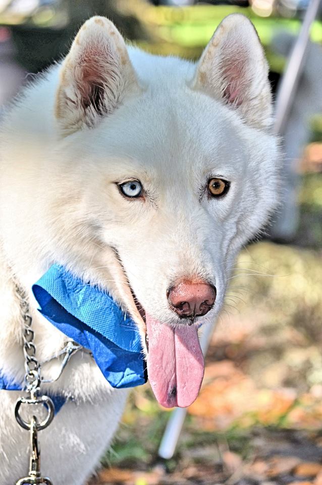 Little Red Riding Hood!! (Mya, Kody, & Asia rocked it!) HALLOWEEN PARTY!  Aspen_zpsf78767e2