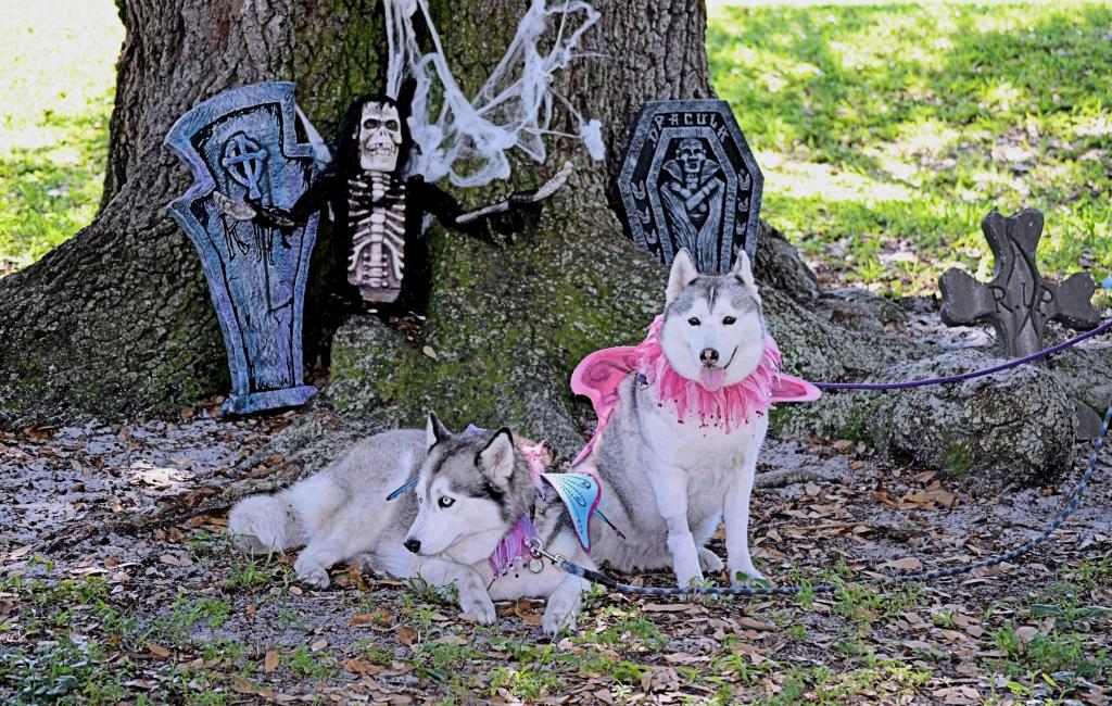 Little Red Riding Hood!! (Mya, Kody, & Asia rocked it!) HALLOWEEN PARTY!  Avaampbella_zpse62212f3