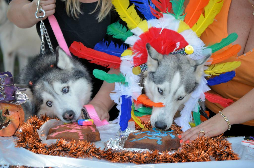 Little Red Riding Hood!! (Mya, Kody, & Asia rocked it!) HALLOWEEN PARTY!  Getthatcake_zps1ebf6c13