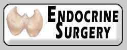  :         2007 (    ) Endocrine