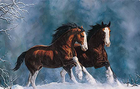 Images diverses Horses