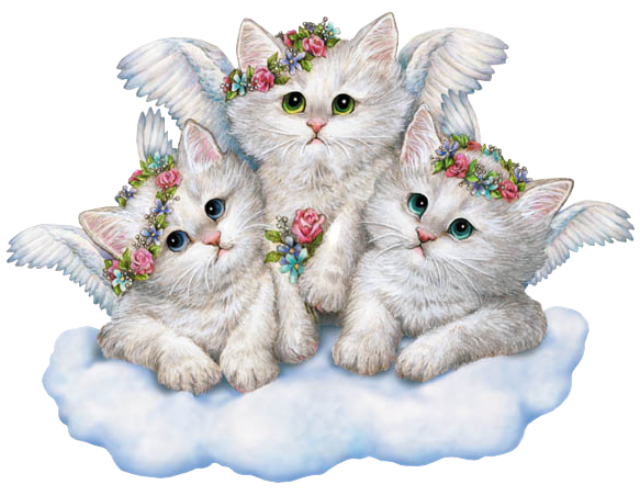 Animaux tubes 3 KittyAngels_molly