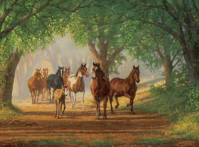 Images diverses Horses3