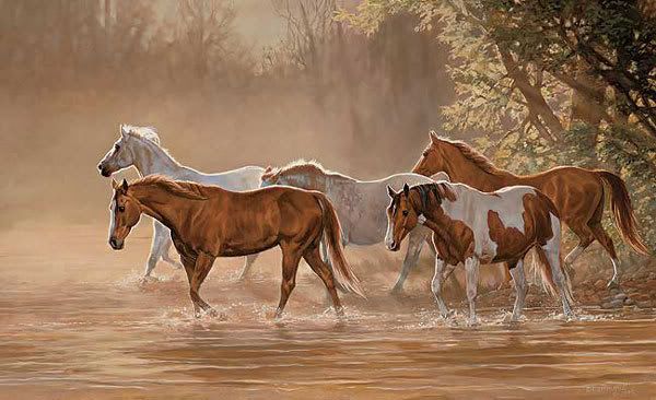 Images diverses Horses8