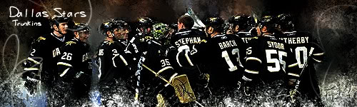 Dallas Stars DStarsbanner1