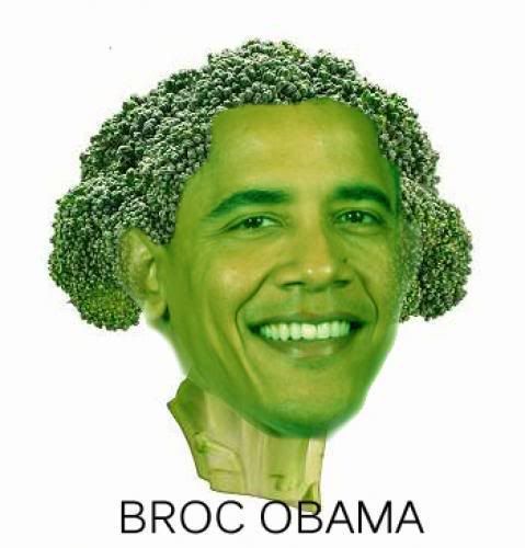 Obama Chia Pet BrocObama