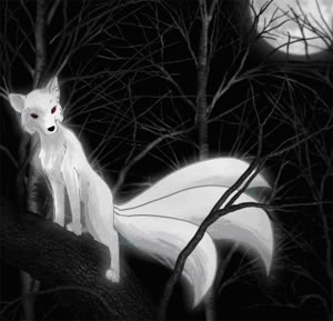 mystery of another world...  Kitsune