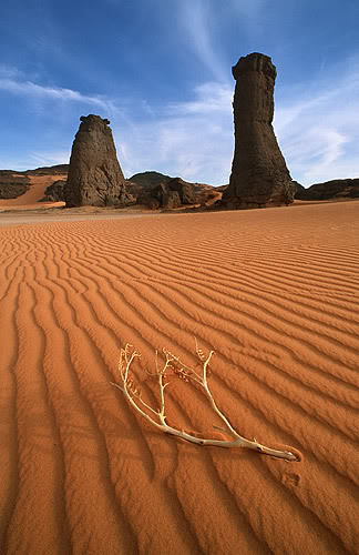 صحراء الجزائر  136