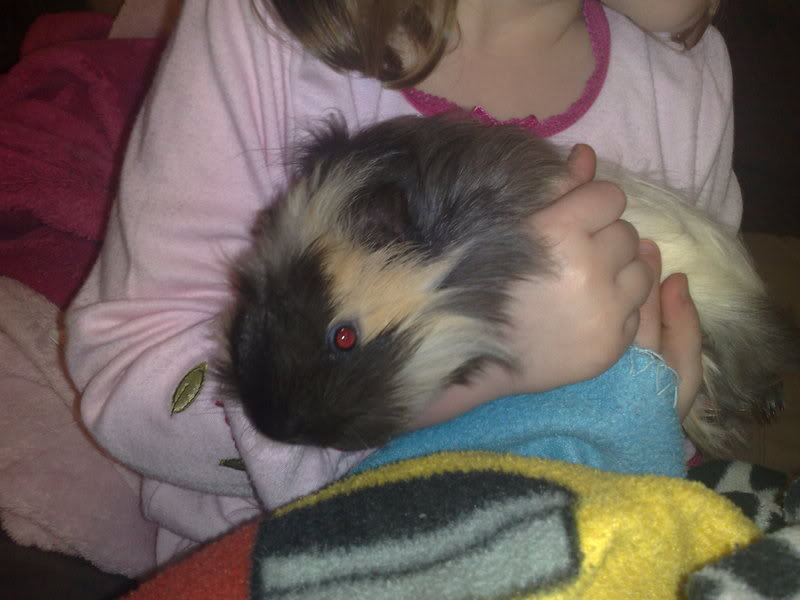 our new piggy Basha!! x x 1stfeb018