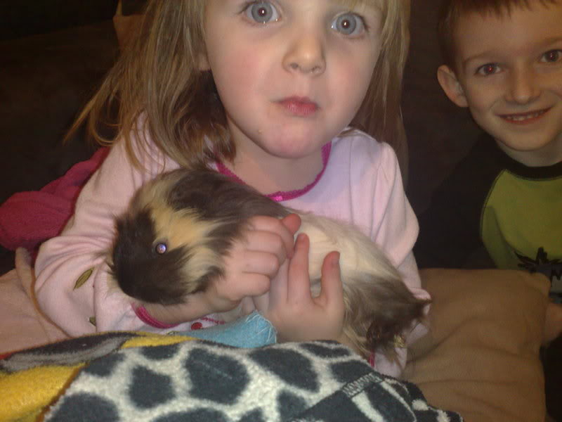 our new piggy Basha!! x x 1stfeb019