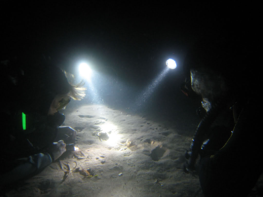 [cr] plongée sur l'arche et tiki plage (de nuit) Ag09113