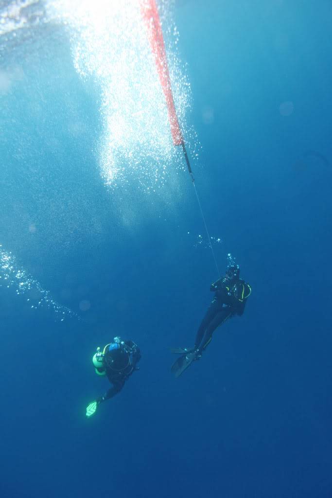 [cr] plongée sur le sec des Suisses Agay Ag0970