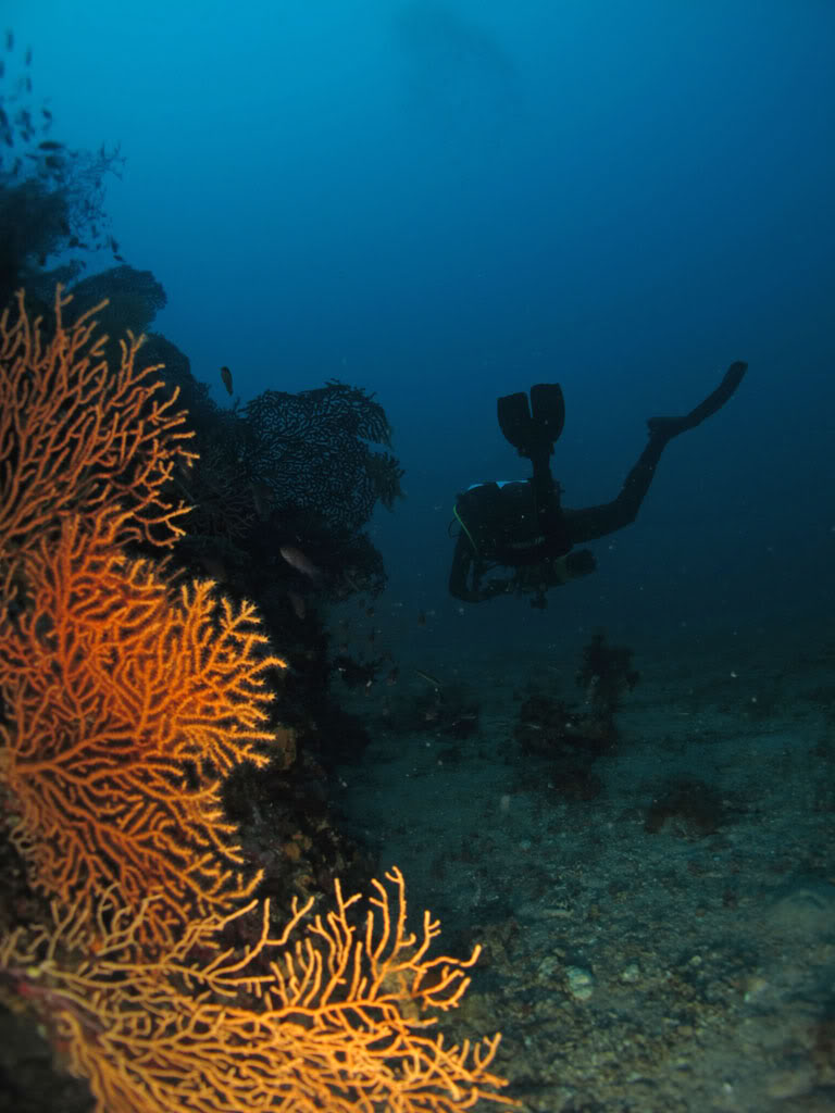 retour d'Agay du bleu plein les yeux Ag1008