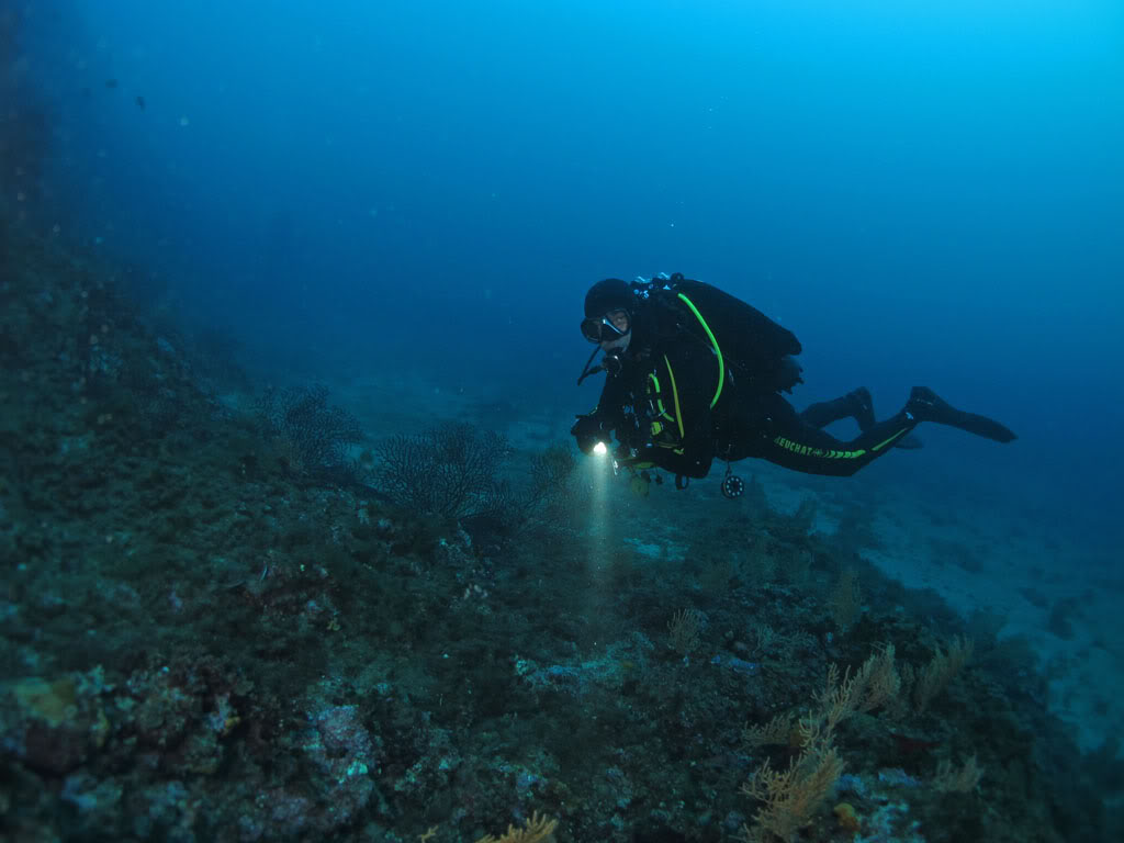 retour d'Agay du bleu plein les yeux Ag1023