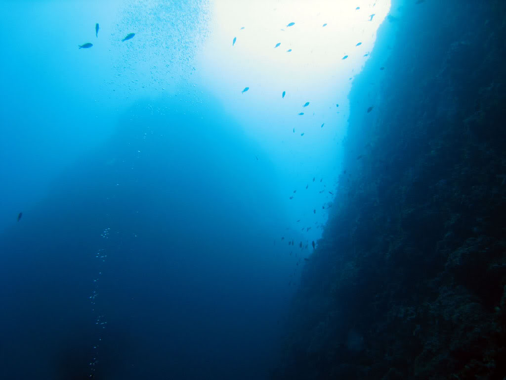 plongée sur le sec des Suisses pour la MDP dive team Agol04