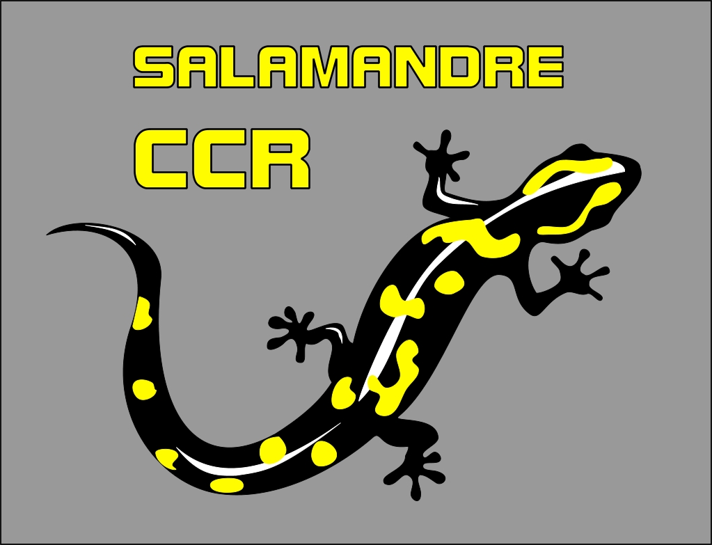 projet SALAMANDRA Salamandre_zps9ce600c6