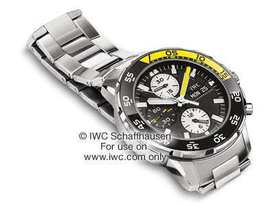 les nouveautés IWC Aquatimer 2009 Img_vielzeitzumtauchen_neu