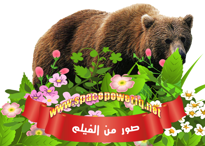 Big Bear مدبلج للعربية الفصحى  2