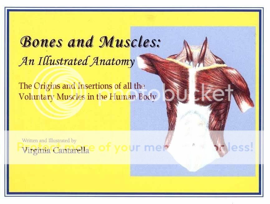 Bones and Muscles: An Illustrated Anatomy Coverbm_orig