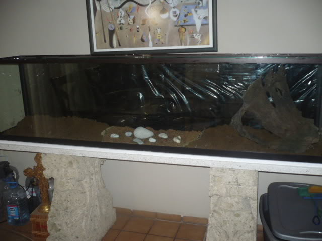 acuario plantado y peces disco 2mts002