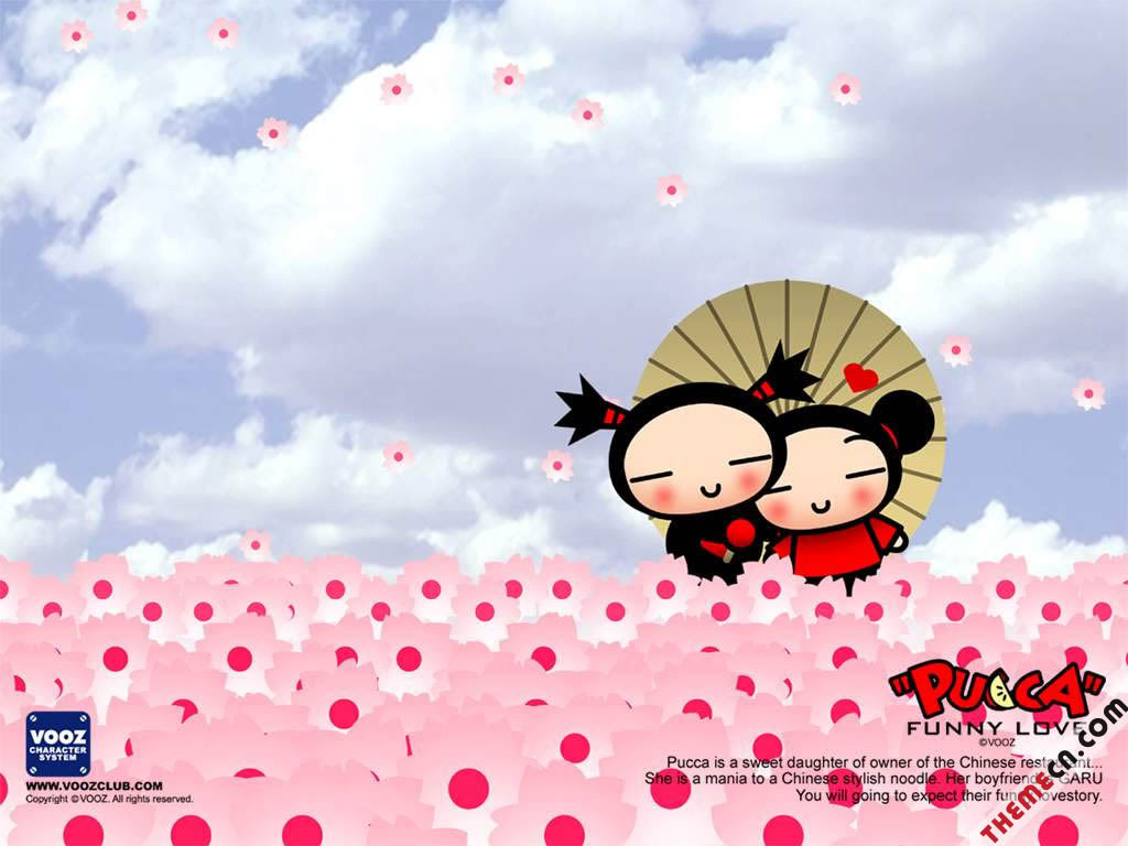 PUCCA Dcdml3