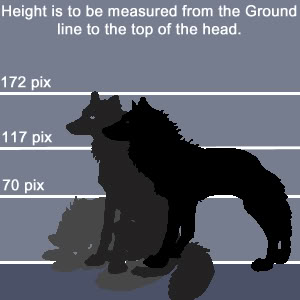 Chatland's Standards: Size Charts Kes_smallguide