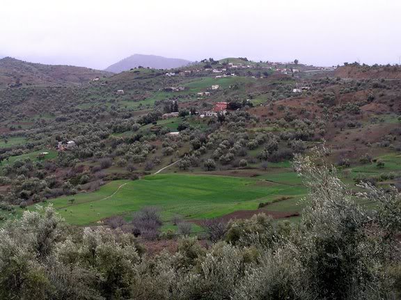 المغرب العربى 19-2