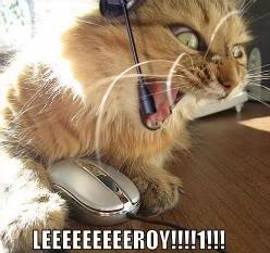 Lenne In A Calamity Battle Lolcats-funny-pictures-leroy-jen-1