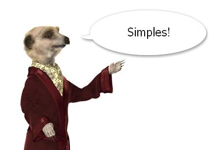 How stupid am I? Simples-1