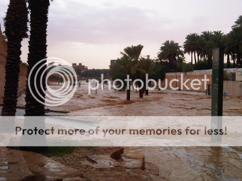 استراحة صعفق الفايز - صفحة 11 IMG00102-20100503-1547