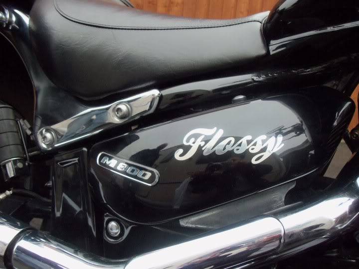 Flossy .......... 2006 Suzuki VZ800 Flossy1