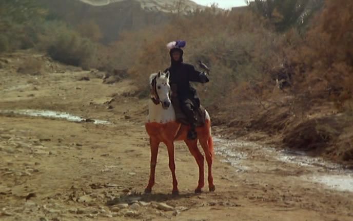 The Dove's Lost Necklace (1991) Nacer Khemir Dove17