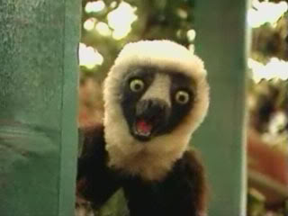 Pideme una imagen. Zaboomafoo