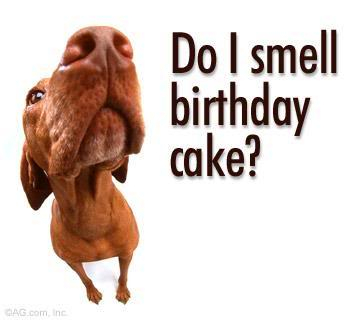 happy birthday Birthday_dog