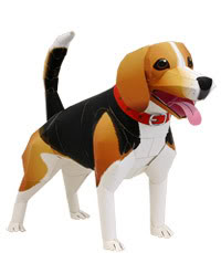 [Tuyển tập] Hot! Mô hình giấy Beagle_i