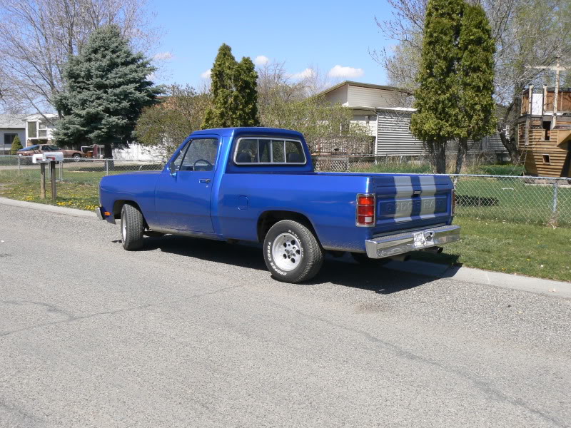 1982 Dodge(my new truck) P1120095