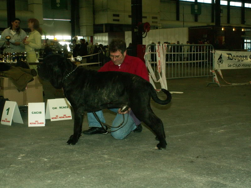 Exposition de Bordeaux!! - Page 5 PICT0021