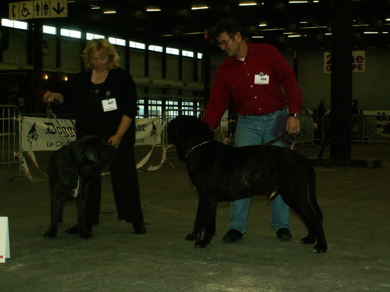 Exposition de Bordeaux!! - Page 5 PICT0044