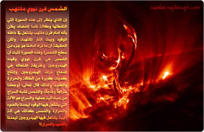 صور من قدرة الله Namlah-factspic3