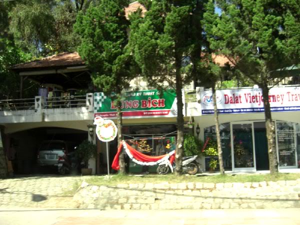 Đà Lạt - Hội Hoa xuân CIMG1050