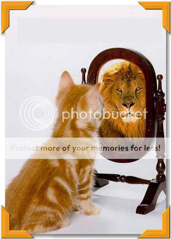 jeu des images - Page 6 Chat_lion2