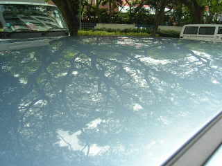 Mobile Polishing Service !!! PICT0798