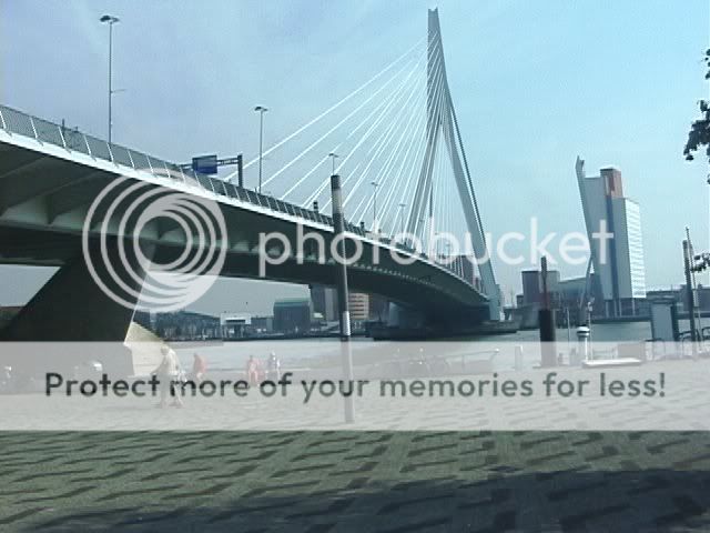 Ma photo du jour  - Page 23 Rotterdam