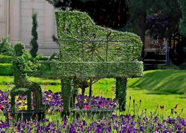 GRASS ART. Pianistul_si_soprana