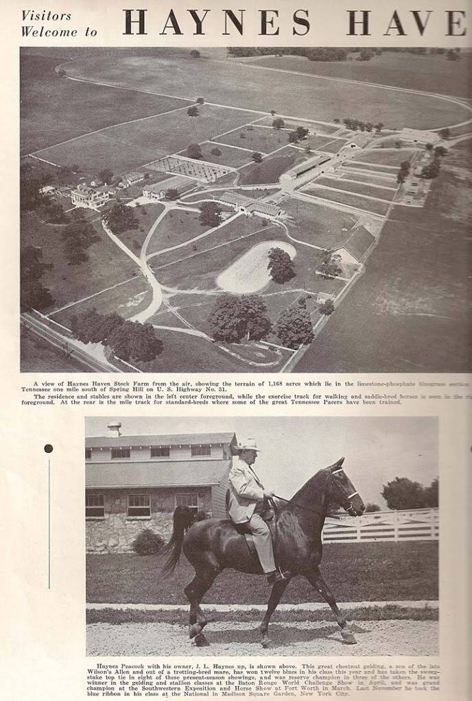 History Of The Tennessee Walking Horse - Page 9 1940HaynesHavenAd