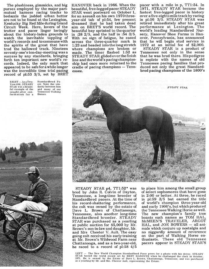 History Of The Tennessee Walking Horse - Page 9 30189